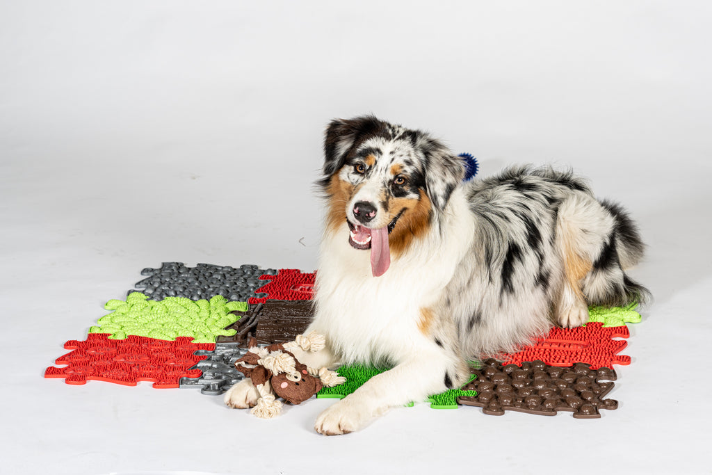 pet-snuffle-set